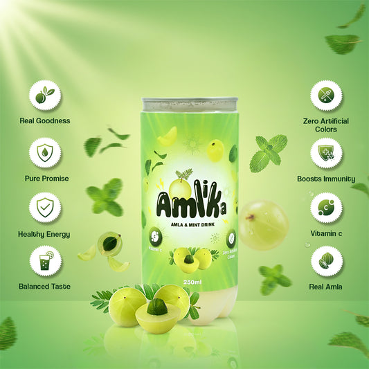 2 PackAmla Mint Juice | Vitamin C Rich Amla Drink – Amlika