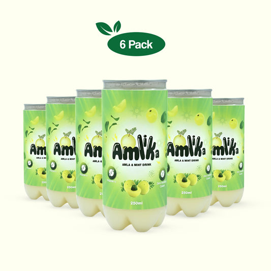 6 Pack Amla Mint Juice | Vitamin C Rich Amla Drink